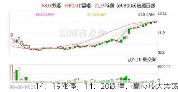 14：19涨停，14：20跌停，高位股大震荡