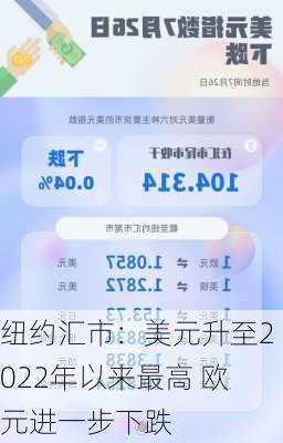 纽约汇市：美元升至2022年以来最高 欧元进一步下跌