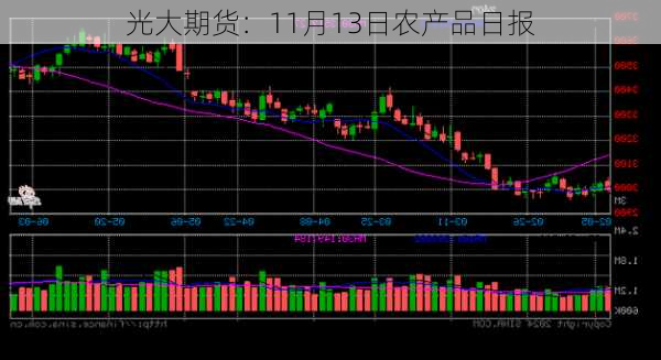 光大期货：11月13日农产品日报