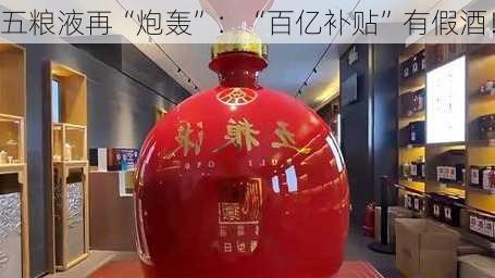 五粮液再“炮轰”：“百亿补贴”有假酒！