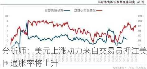 分析师：美元上涨动力来自交易员押注美国通胀率将上升