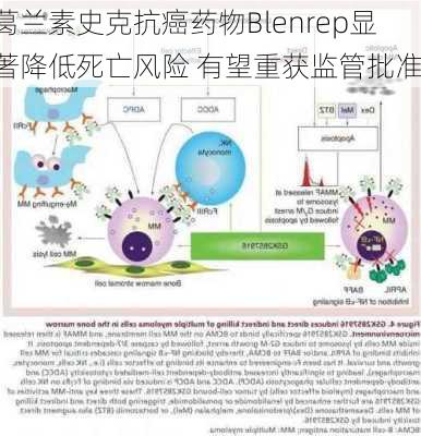 葛兰素史克抗癌药物Blenrep显著降低死亡风险 有望重获监管批准