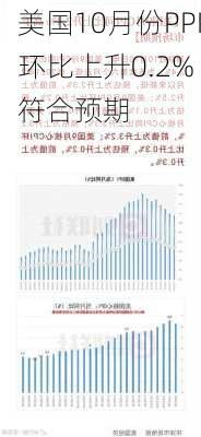 美国10月份PPI环比上升0.2% 符合预期