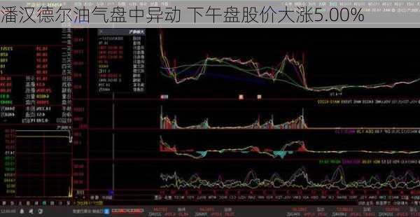 潘汉德尔油气盘中异动 下午盘股价大涨5.00%