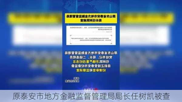 原泰安市地方金融监督管理局局长任树凯被查