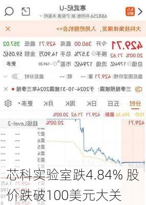 芯科实验室跌4.84% 股价跌破100美元大关