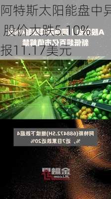 阿特斯太阳能盘中异动 股价大跌5.10%报11.17美元