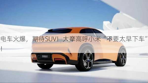 电车火爆，期待SUV！大摩高呼小米“不要太早下车”！