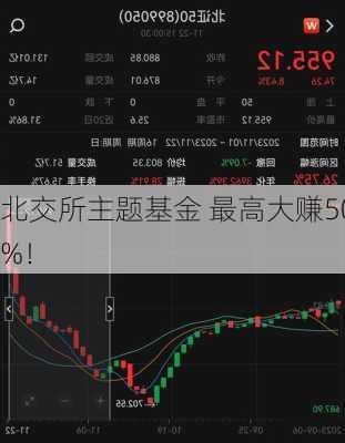 北交所主题基金 最高大赚50%！