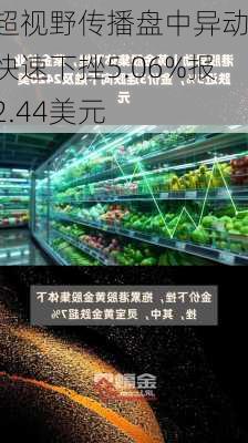 超视野传播盘中异动 快速下挫5.06%报2.44美元