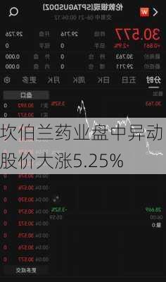 坎伯兰药业盘中异动 股价大涨5.25%