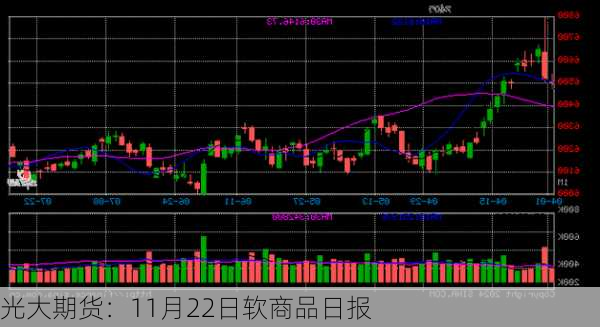 光大期货：11月22日软商品日报