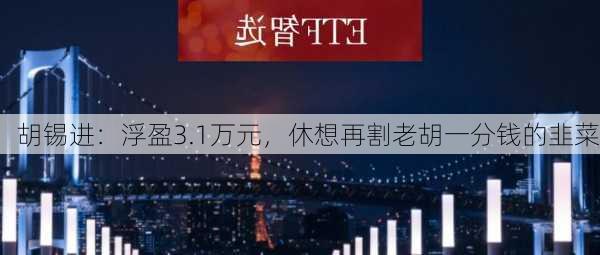 胡锡进：浮盈3.1万元，休想再割老胡一分钱的韭菜