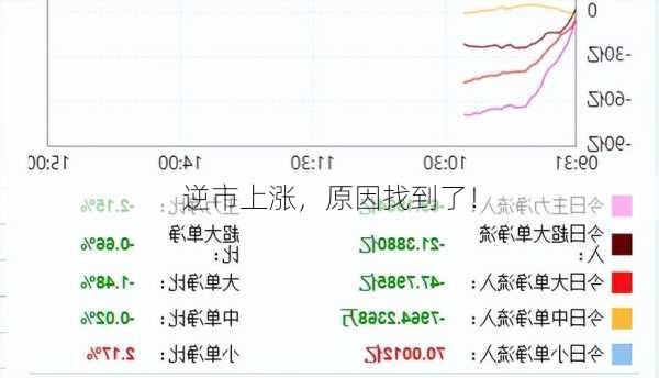 逆市上涨，原因找到了！