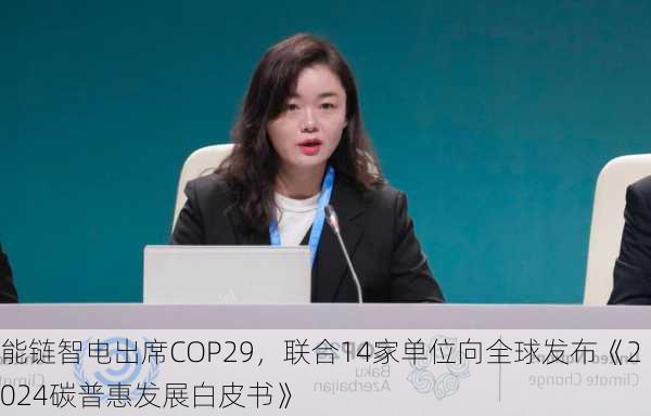 能链智电出席COP29，联合14家单位向全球发布《2024碳普惠发展白皮书》