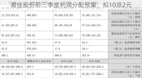 湘佳股份前三季度利润分配预案：拟10派2元