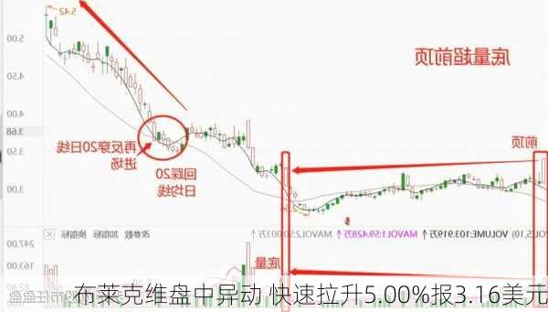 布莱克维盘中异动 快速拉升5.00%报3.16美元