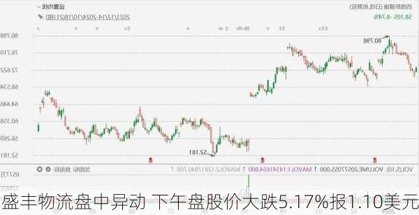 盛丰物流盘中异动 下午盘股价大跌5.17%报1.10美元