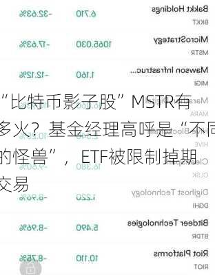 “比特币影子股”MSTR有多火？基金经理高呼是“不同的怪兽”，ETF被限制掉期交易