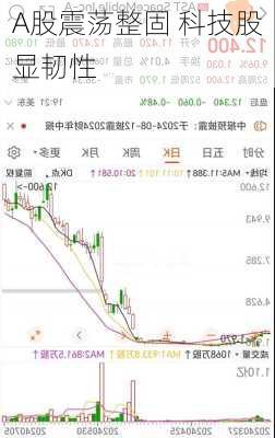 A股震荡整固 科技股显韧性