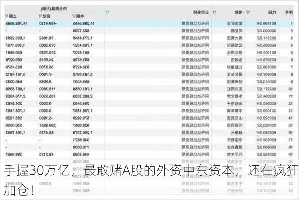 手握30万亿，最敢赌A股的外资中东资本，还在疯狂加仓！