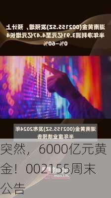 突然，6000亿元黄金！002155周末公告