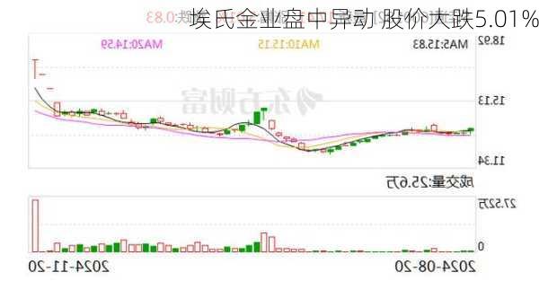 埃氏金业盘中异动 股价大跌5.01%