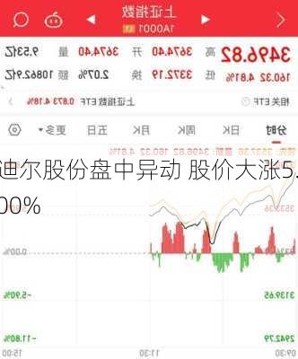 迪尔股份盘中异动 股价大涨5.00%