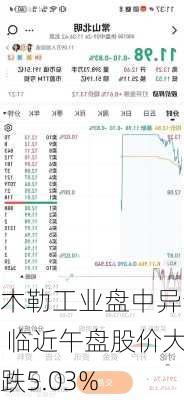 木勒工业盘中异动 临近午盘股价大跌5.03%