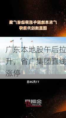 广东本地股午后拉升，省广集团直线涨停