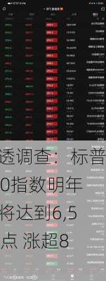 路透调查：标普500指数明年底将达到6,500点 涨超8%