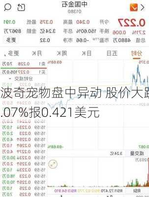 波奇宠物盘中异动 股价大跌6.07%报0.421美元