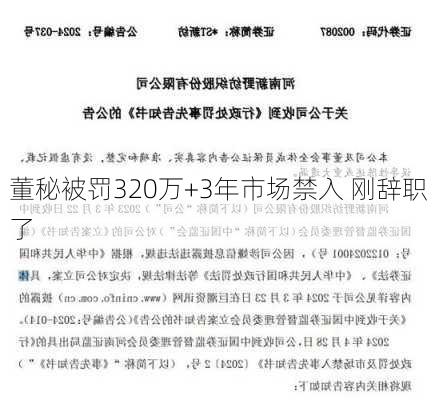 董秘被罚320万+3年市场禁入 刚辞职了