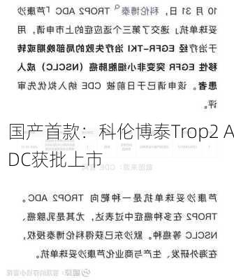 国产首款：科伦博泰Trop2 ADC获批上市