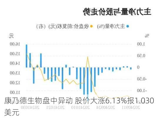 康乃德生物盘中异动 股价大涨6.13%报1.030美元