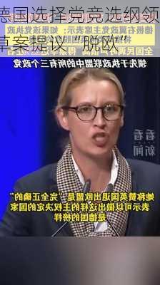 德国选择党竞选纲领草案提议“脱欧”