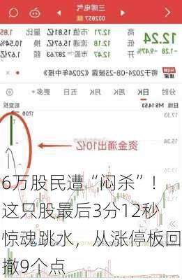 6万股民遭“闷杀”！这只股最后3分12秒惊魂跳水，从涨停板回撤9个点