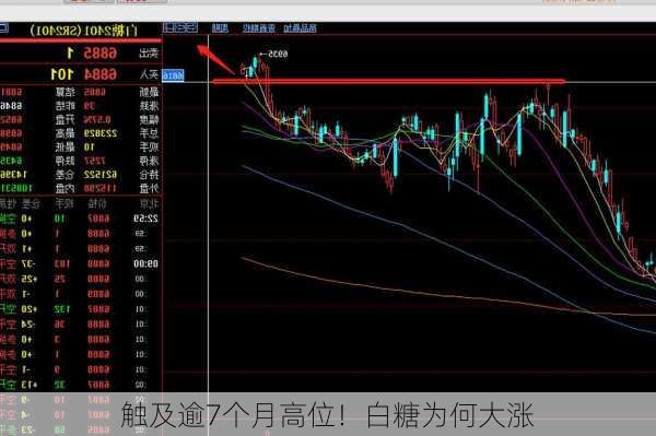 触及逾7个月高位！白糖为何大涨