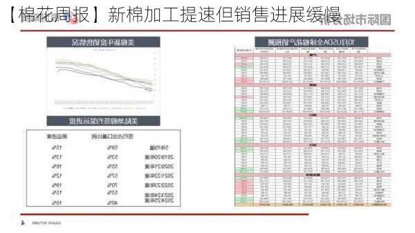 【棉花周报】新棉加工提速但销售进展缓慢