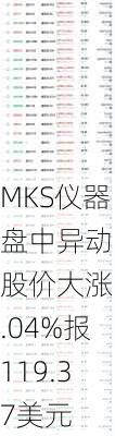 MKS仪器盘中异动 股价大涨5.04%报119.37美元