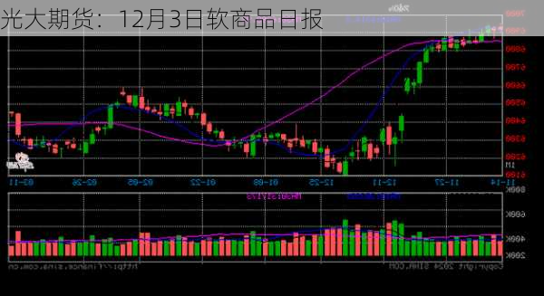 光大期货：12月3日软商品日报