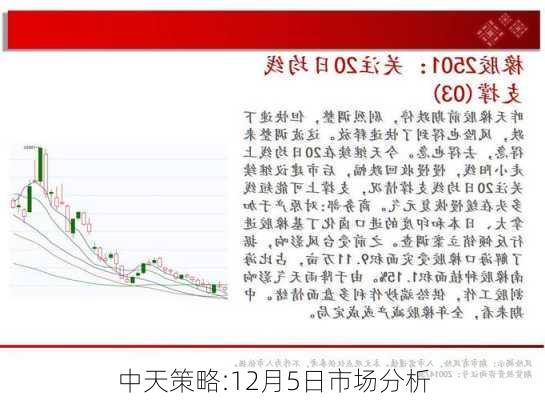 中天策略:12月5日市场分析