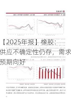 【2025年报】橡胶：供应不确定性仍存，需求预期向好