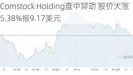 Comstock Holding盘中异动 股价大涨5.38%报9.17美元