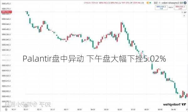 Palantir盘中异动 下午盘大幅下挫5.02%