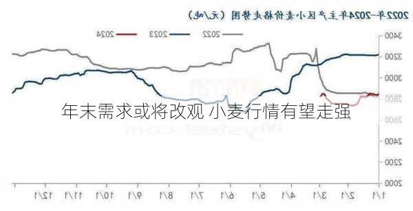 年末需求或将改观 小麦行情有望走强