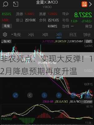 非农亮点：实现大反弹！12月降息预期再度升温