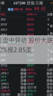 趣店盘中异动 股价大跌5.60%报2.85美元