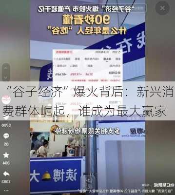 “谷子经济”爆火背后：新兴消费群体崛起，谁成为最大赢家