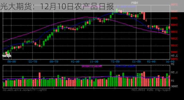 光大期货：12月10日农产品日报